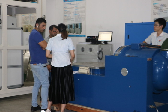 Beschleunigte Druck-elektromagnetische Erschütterung Shaker For Electrical Vehicle Battery