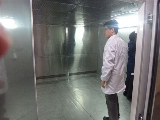 Walk-In Klimakammer | Großer Temperatur- und Feuchteraum für Umweltsimulation